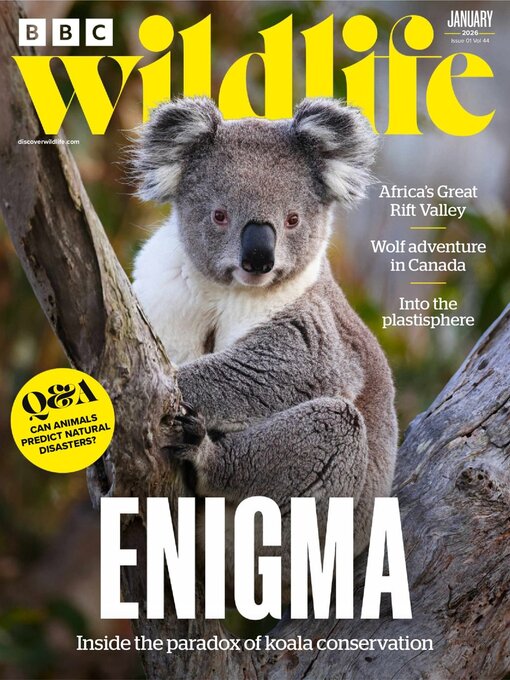 Title details for BBC Wildlife Magazine by Our Media Limited - Available